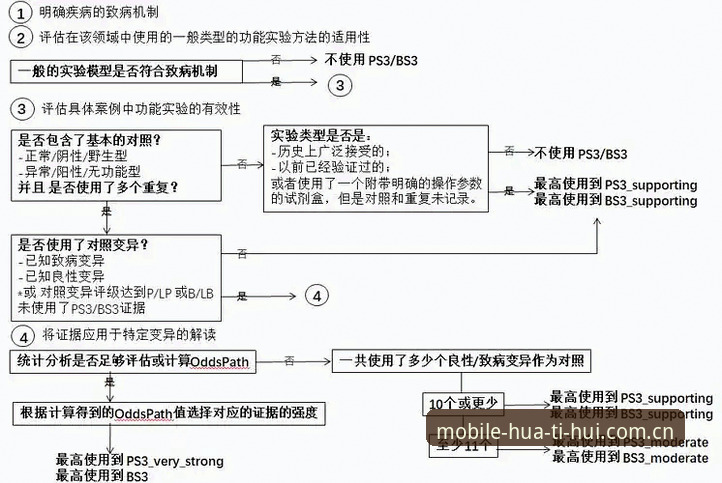 华体会体育安全性深度分析：从使用指南到最新版本功能全面解读